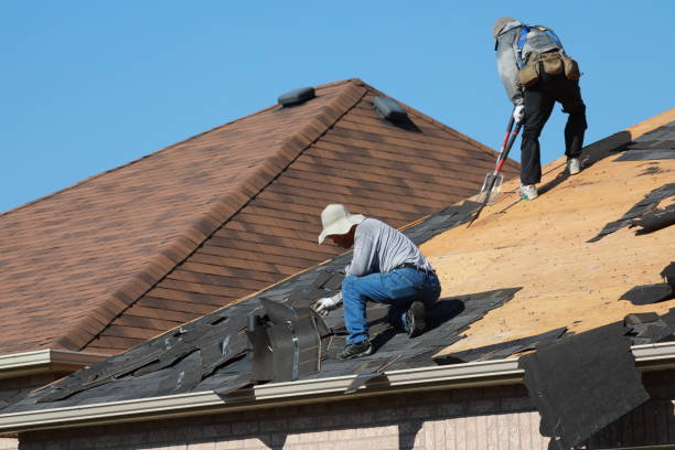 Best Storm Damage Roof Repair  in Marion, TX