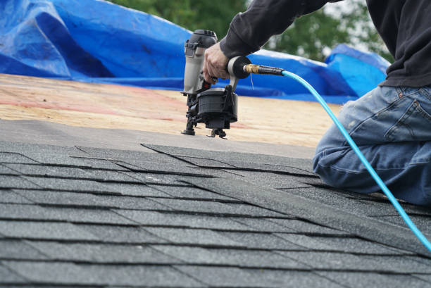 Best Steel Roofing  in Marion, TX